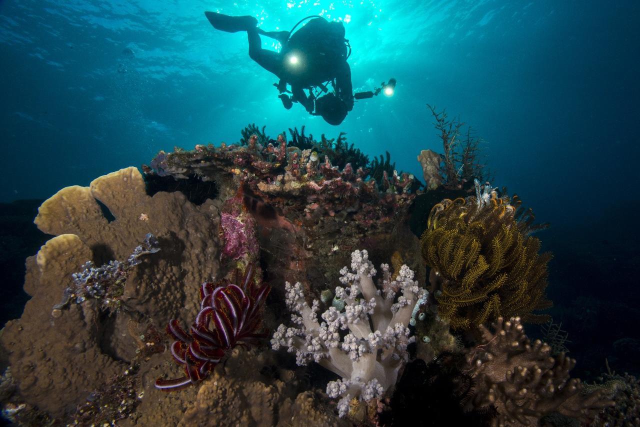 Atauro Dive Resort Beloi Luaran gambar